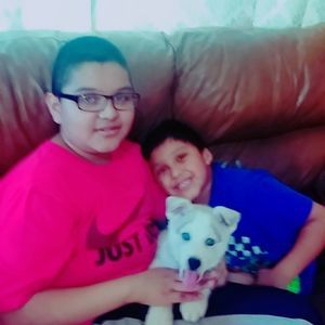 Meet your Posher, Emilio